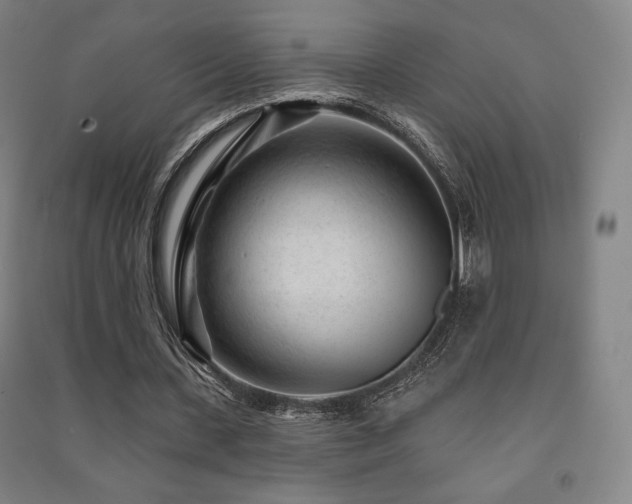 X0000091470531200708161401