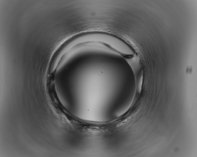 X0000091470532200708161401