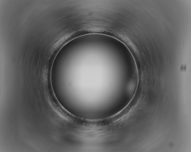 X0000091470533200708161401