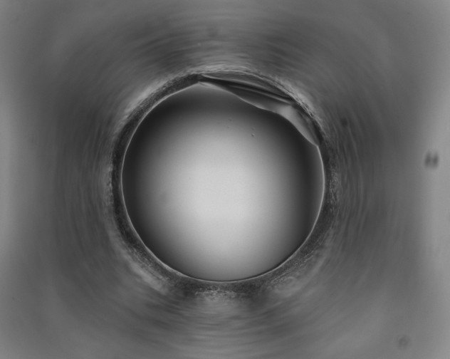 X0000091470535200708161401