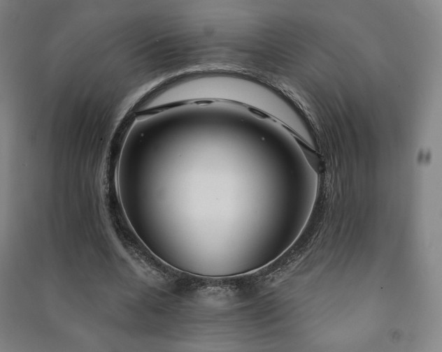 X0000091470536200708161401