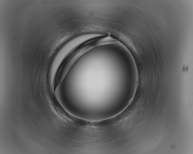 X0000091470538200708161401
