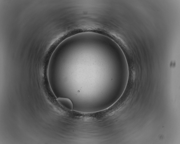 X0000091470539200708161401