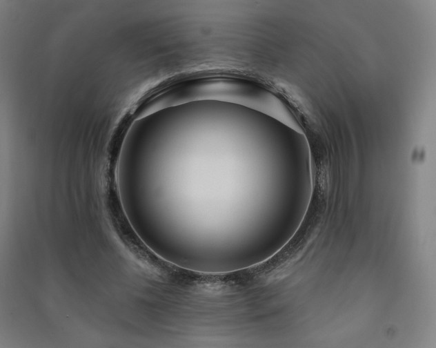 X0000091470540200708161401