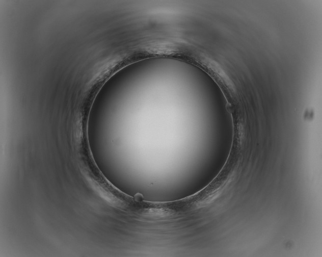 X0000091470541200708161401