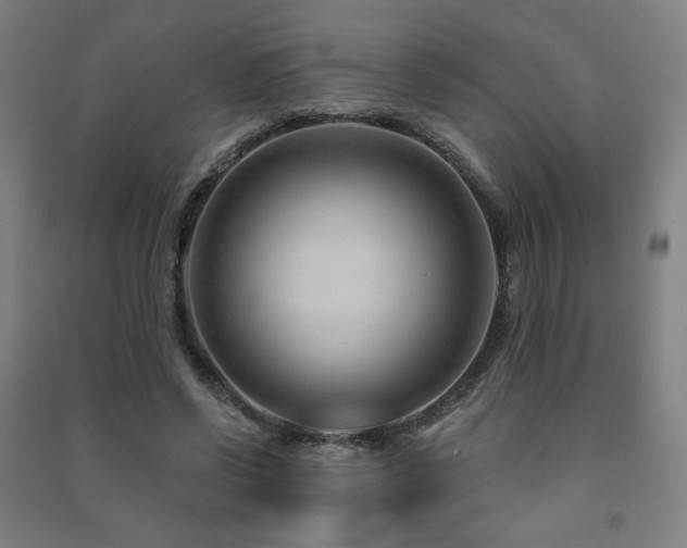 X0000091470542200708161401