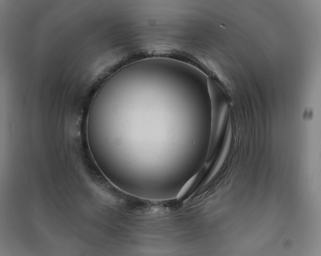 X0000091470543200708161401