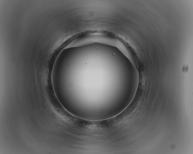 X0000091470544200708161401