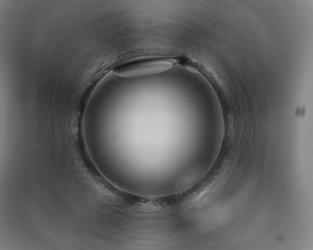 X0000091470545200708161401