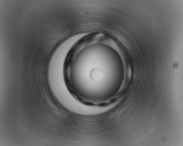 X0000091470546200708161401