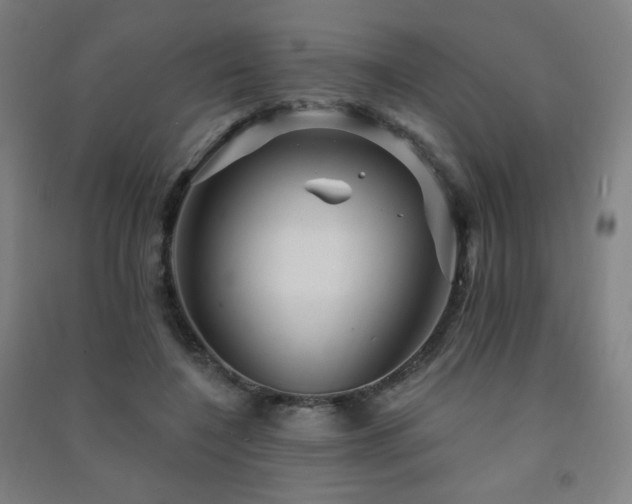 X0000091470548200708161401