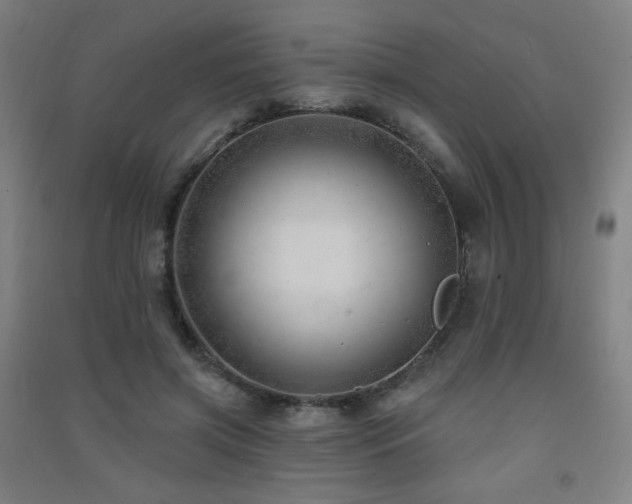 X0000091470549200708161401