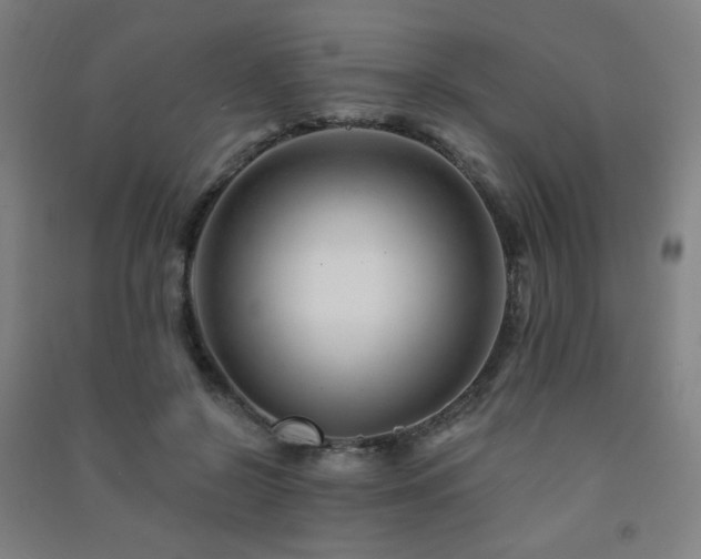 X0000091470550200708161401