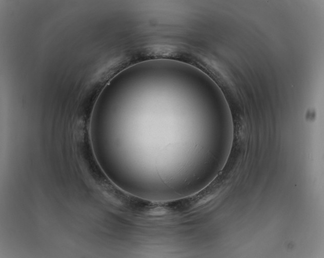 X0000091470551200708161401