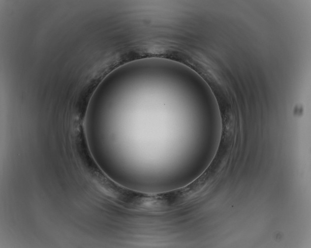 X0000091470555200708161401