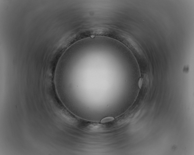 X0000091470557200708161401