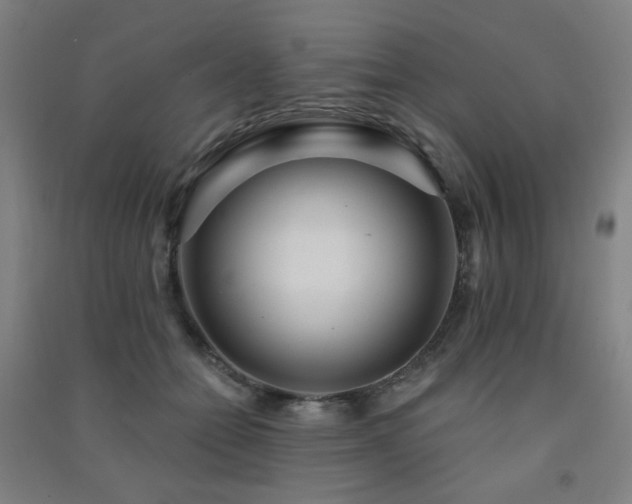X0000091470558200708161401
