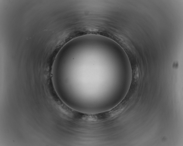 X0000091470559200708161401