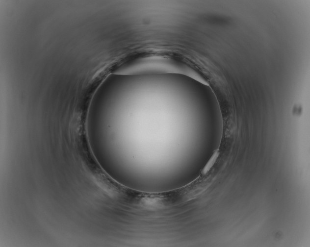 X0000091470560200708161401