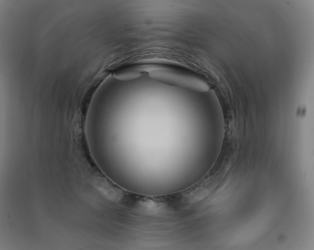 X0000091470561200708161401