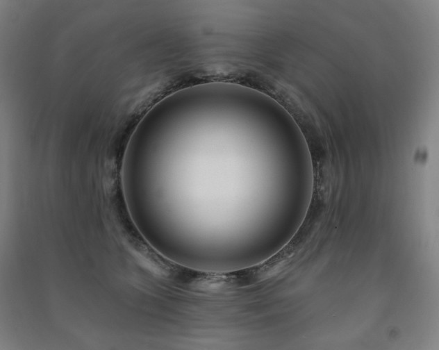X0000091470563200708161401
