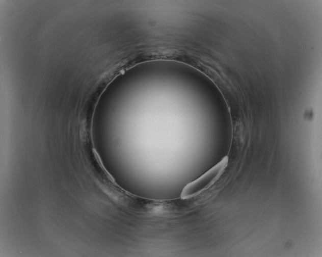 X0000091470564200708161401