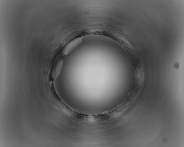 X0000091470565200708161401