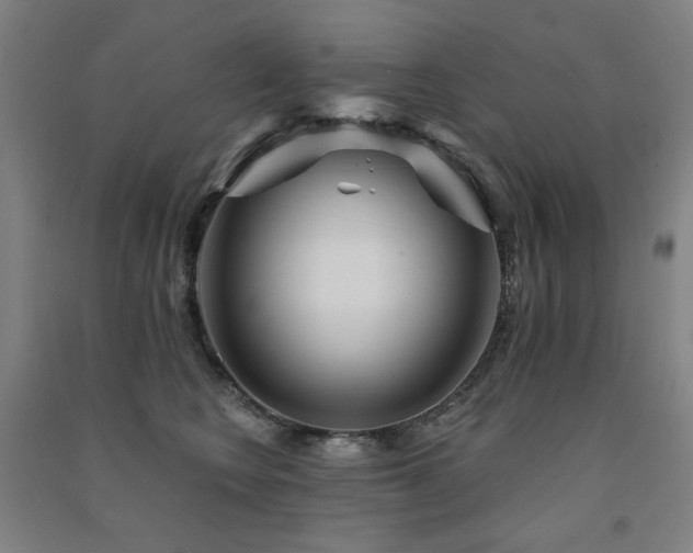 X0000091470566200708161401