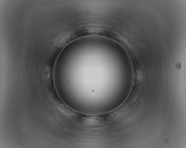 X0000091470567200708161401