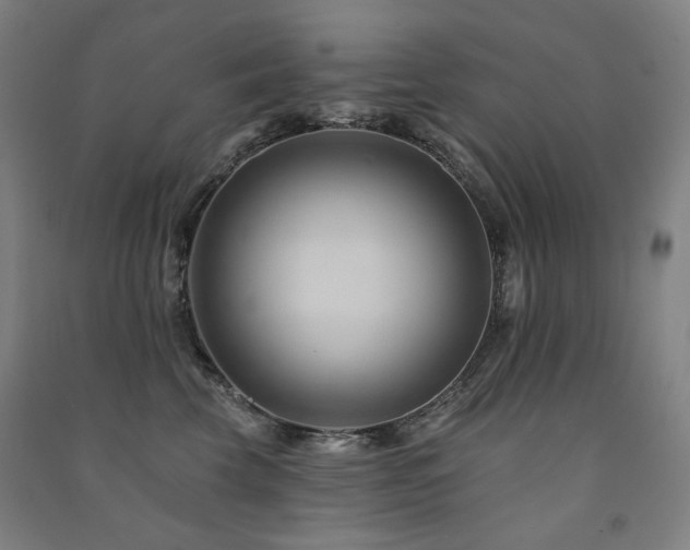 X0000091470569200708161401
