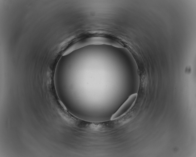 X0000091470570200708161401