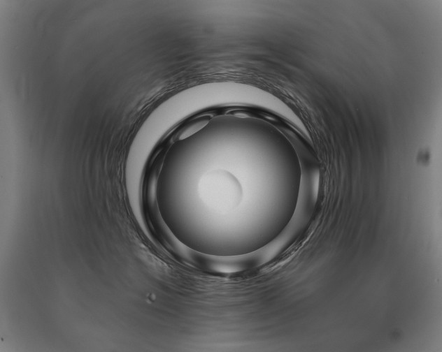 X0000091470574200708161401