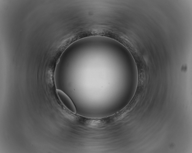 X0000091470575200708161401
