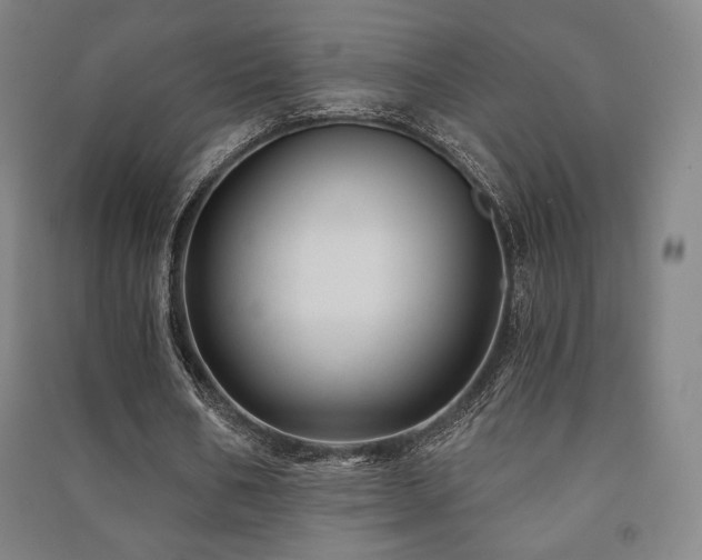 X0000091470578200708161401