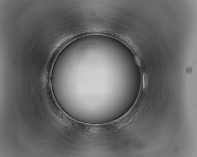 X0000091470579200708161401