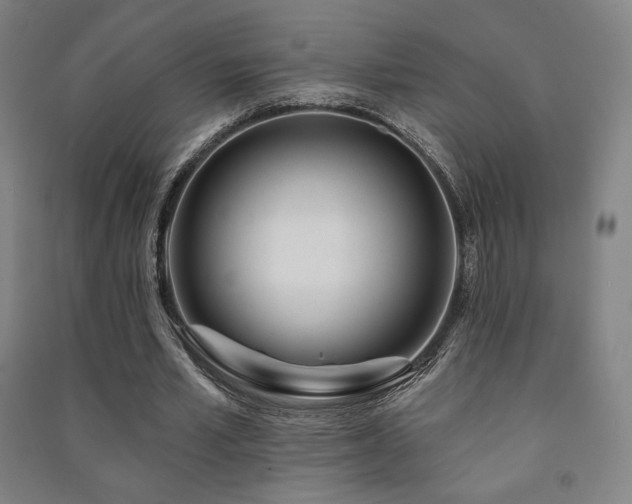 X0000091470581200708161401