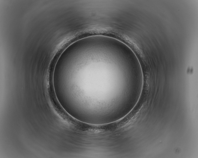 X0000091470582200708161401