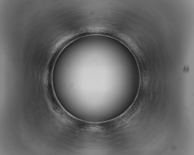 X0000091470583200708161401