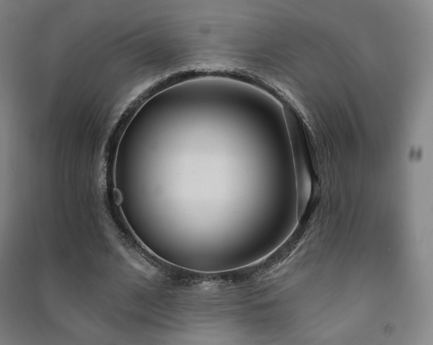 X0000091470584200708161401