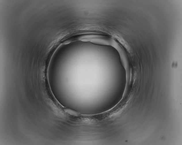 X0000091470585200708161400
