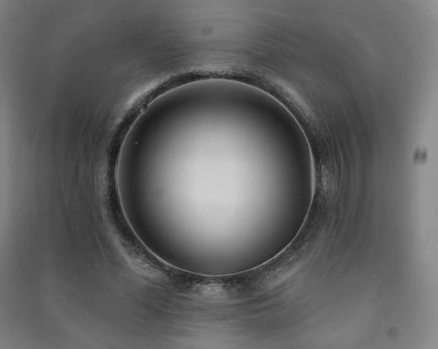 X0000091470588200708161400