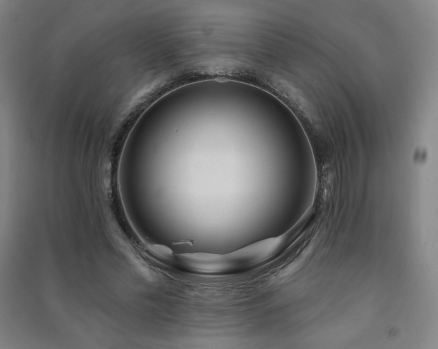 X0000091470589200708161400