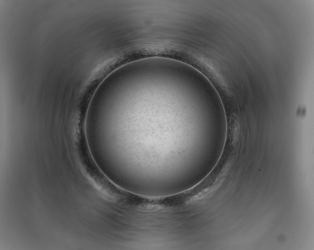 X0000091470590200708161400