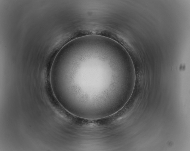 X0000091470594200708161400