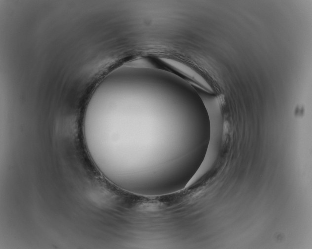 X0000091470595200708161400
