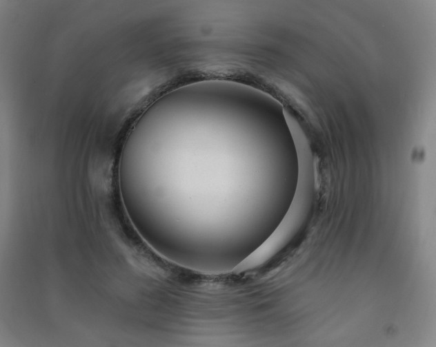 X0000091470596200708161400
