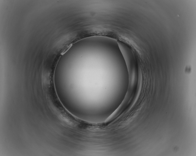 X0000091470597200708161400