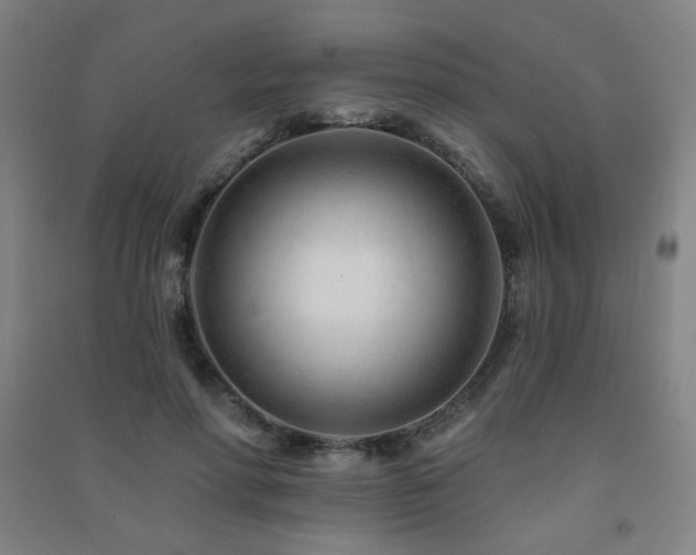X0000091470598200708161400