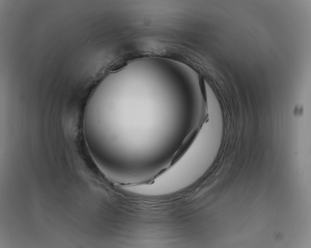 X0000091470600200708161400