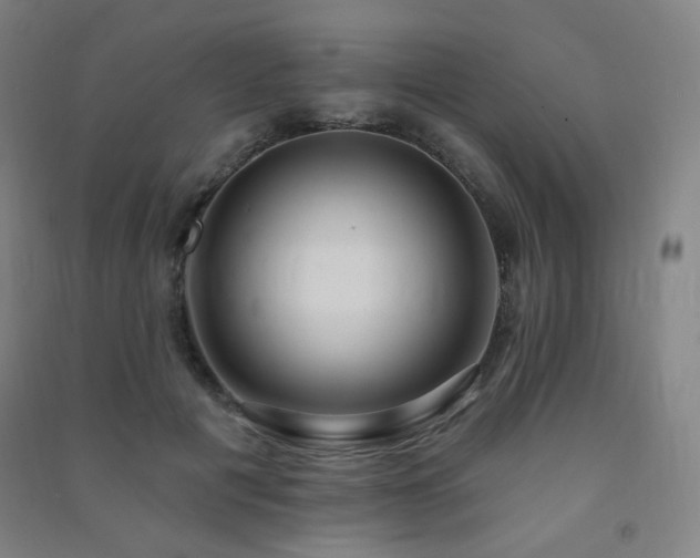 X0000091470601200708161400